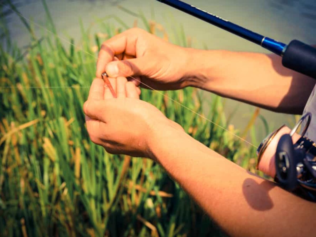 best catch and release fishing hooks Guide to Catch and Release Fishing